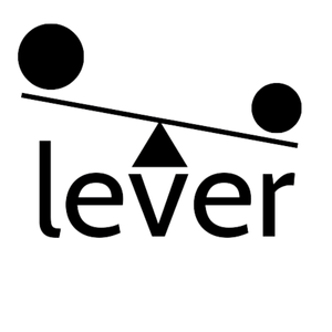 Lever Satınalma Sistemleri
