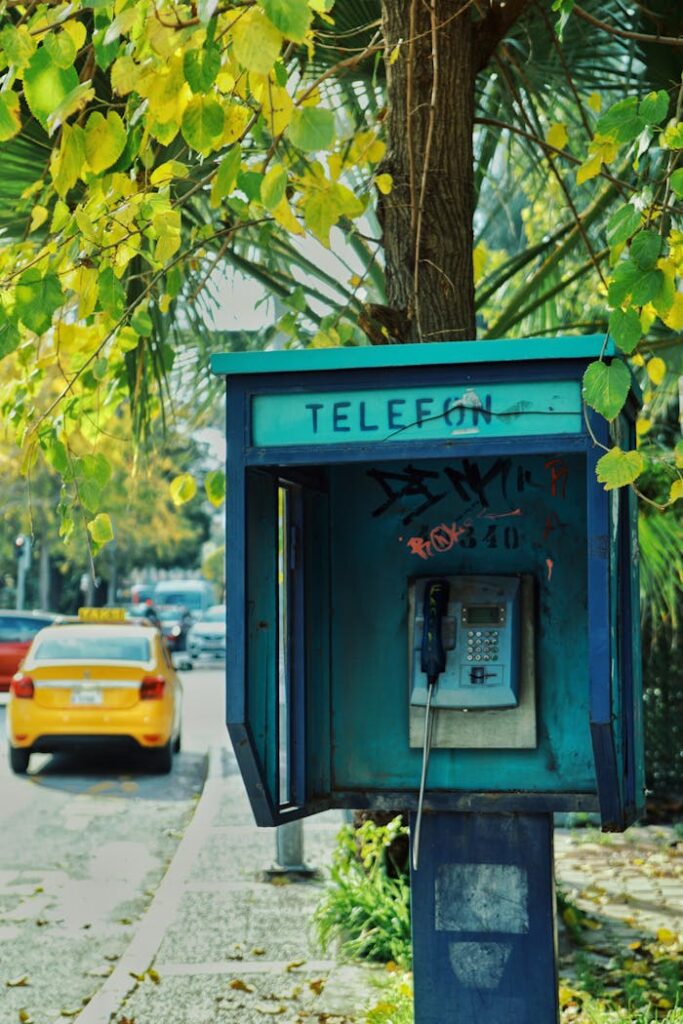 pexels-photo-14810011-14810011.jpg